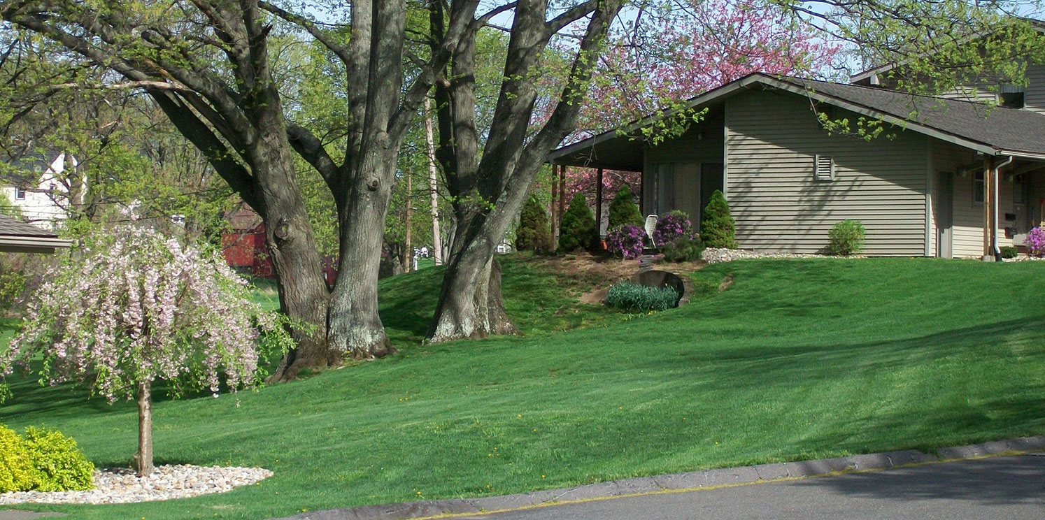 Mature trees and flowing landscape with green front lawn of SouthGate apartments.